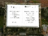 image of grave number 718010